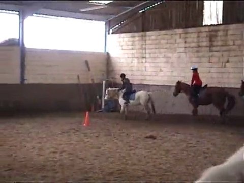 Poney Chloe Galop 2 2009.11.08