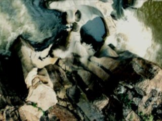 The hippocampus secrets