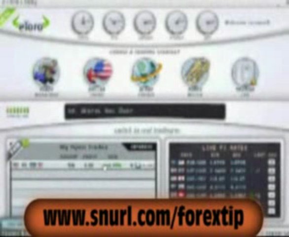 Etoro Trading-Forex-Stock Trading