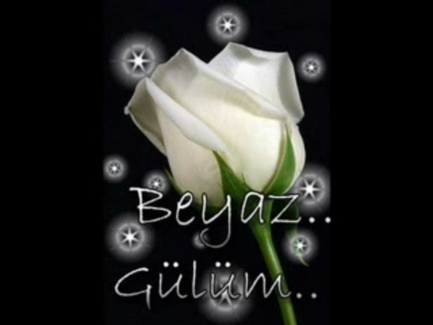 Aşkın nur yengi kalpsiz