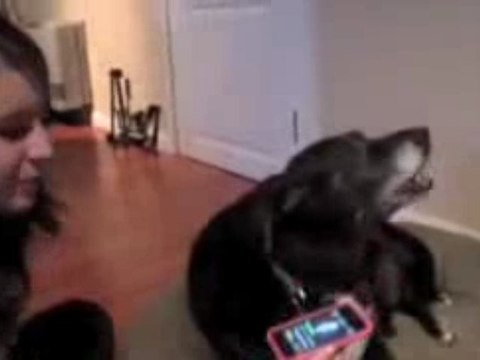 iPhone app Riff Raters Funny Singing Dog