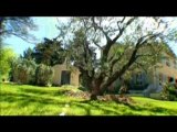 Présentation d'un paysagiste Aixois, les Jardins de Cézanne