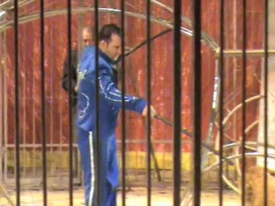 Cirque Zavatta à Avesnes