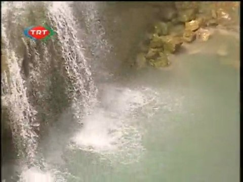 Düş peşime Tortum (2)