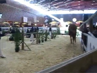 Saroumane Palija Poulain SF 3 ans aux championnats de France