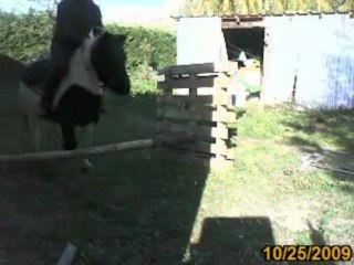 C'est Simplement Ca Le Bonheur