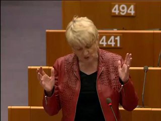 Marian Harkin on The European Ombudman's activities