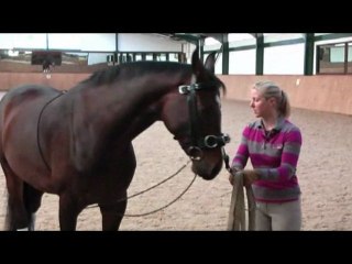 Horse Hero Lungeing Rope