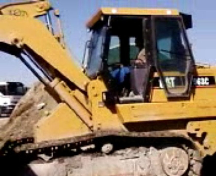 caterpillar