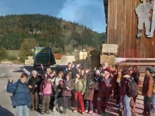 Visite de la scierie Mathieu