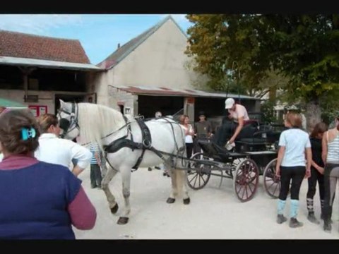 Fete du cheval à Courcelles (51)