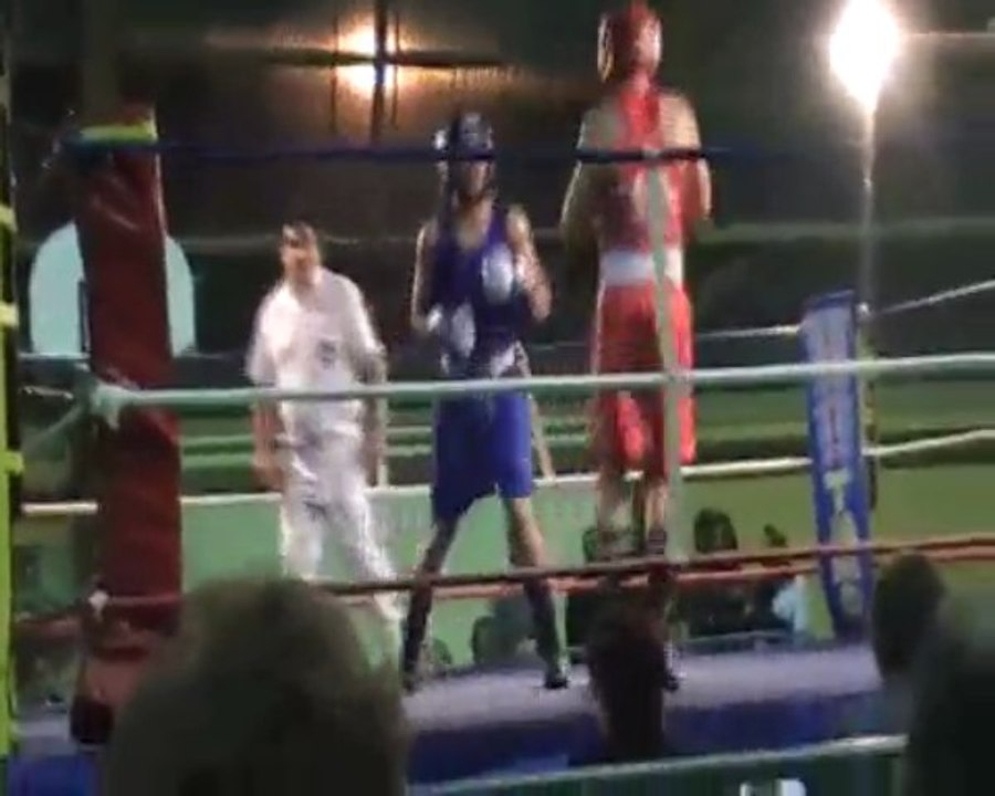 boxe dylan