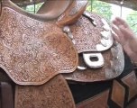 What the best dressed wear for reining (TRAILER)