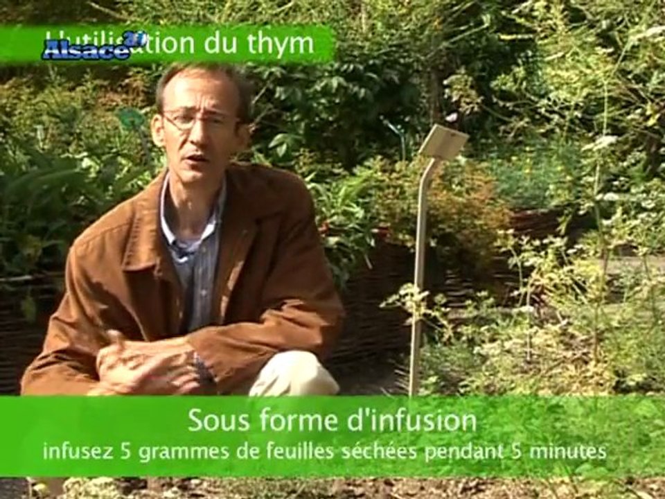 Les propriétés du Thym