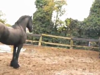 Walter et Lize : jeux frisons 2...