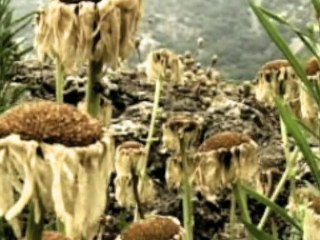 Show Reel 2009 motion design After Effects