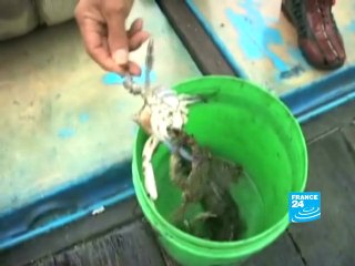 Boat clash: North Korea warns South