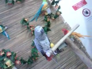 Charlie & nous ; 11/11/o9.