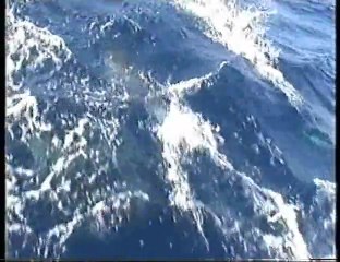 Première sortie en famille sur Camille