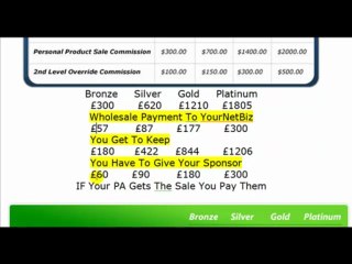 What You Get And Give Away With YournetBiz!