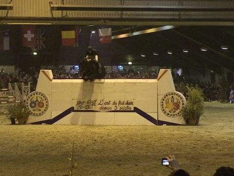 puissance pontivy cso 220cm JOHNNY BOY II	MARTIN JEAN MARIE