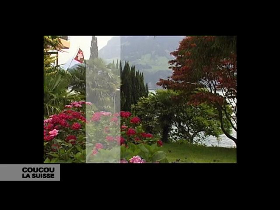 Uri Coucou la Suisse