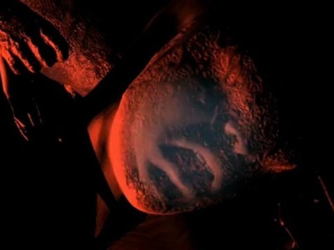 (SL) Horrible Hallucination (Final Version)