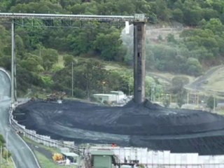 Climate Camp 09 - Dendrobium Action AU