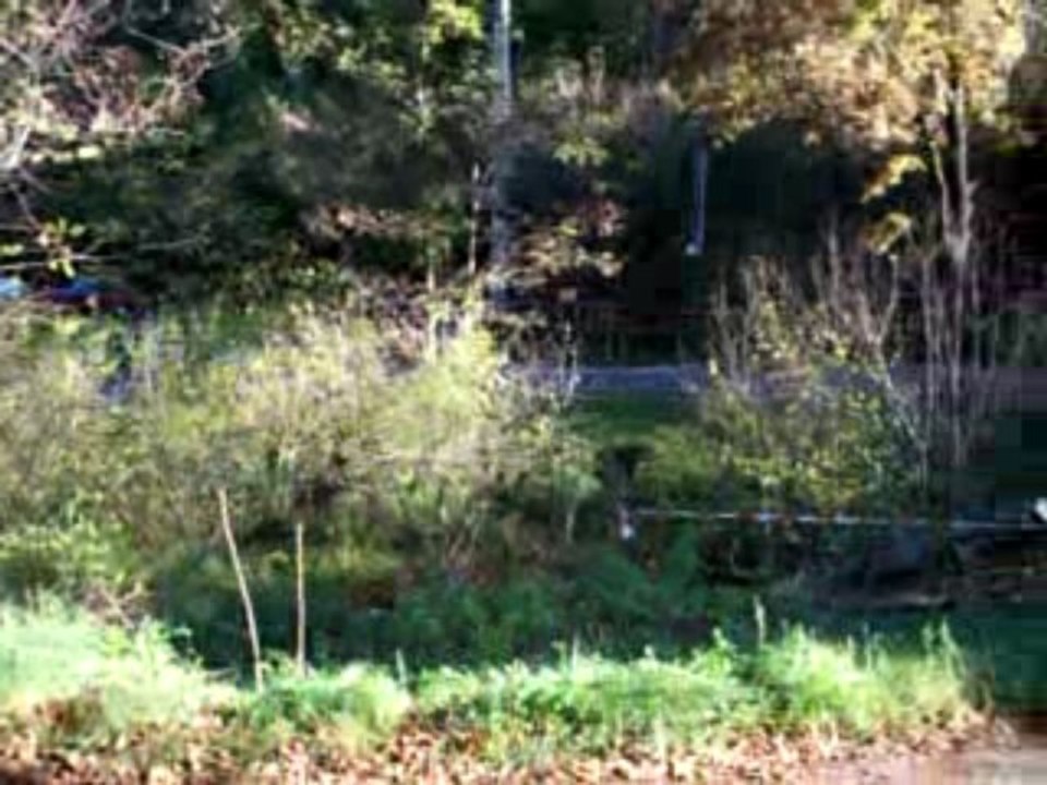 52ème Critérium des Cévennes