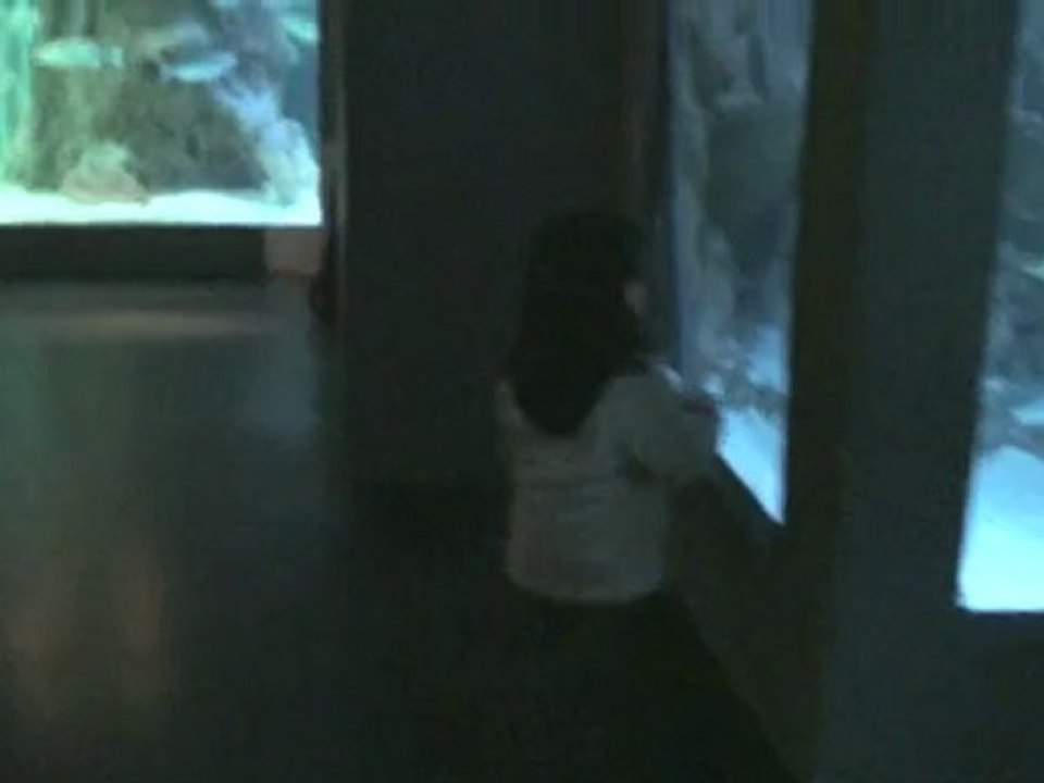 Aquarium biarritz_1