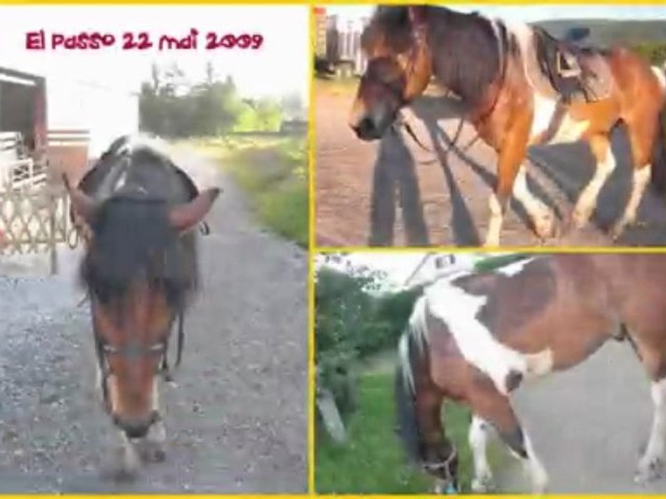 cheval
