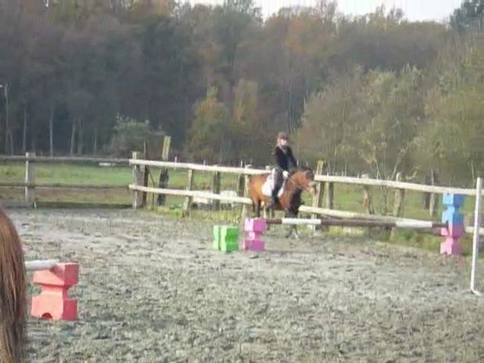Saut D'obstacles