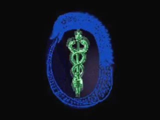 Adam Kadmon - Tempesta Solare 2012