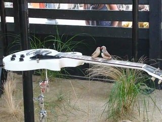 Oiseaux guitaristes - Rock'n Roll !!!