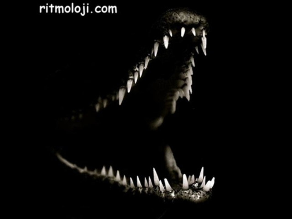 Ünlü O ve Z Hikayesi