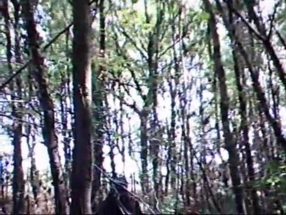 airsoft maine et loire n°2