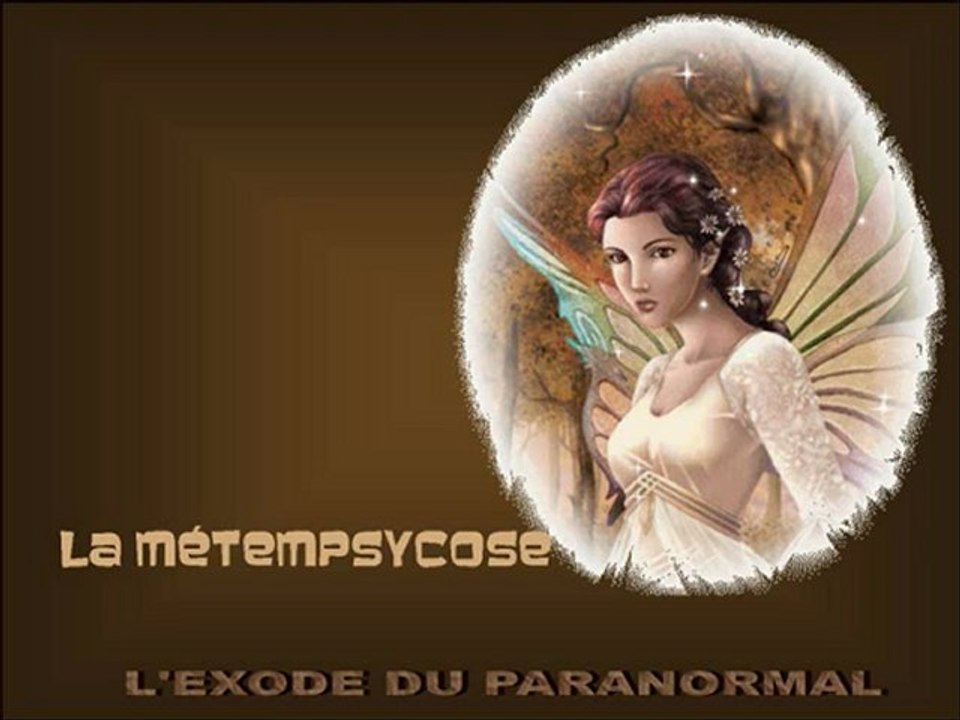 LA METAPSYCOSE