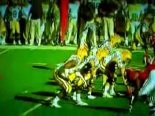 LSU gets screwed by Refs against Alabama Nov 2009