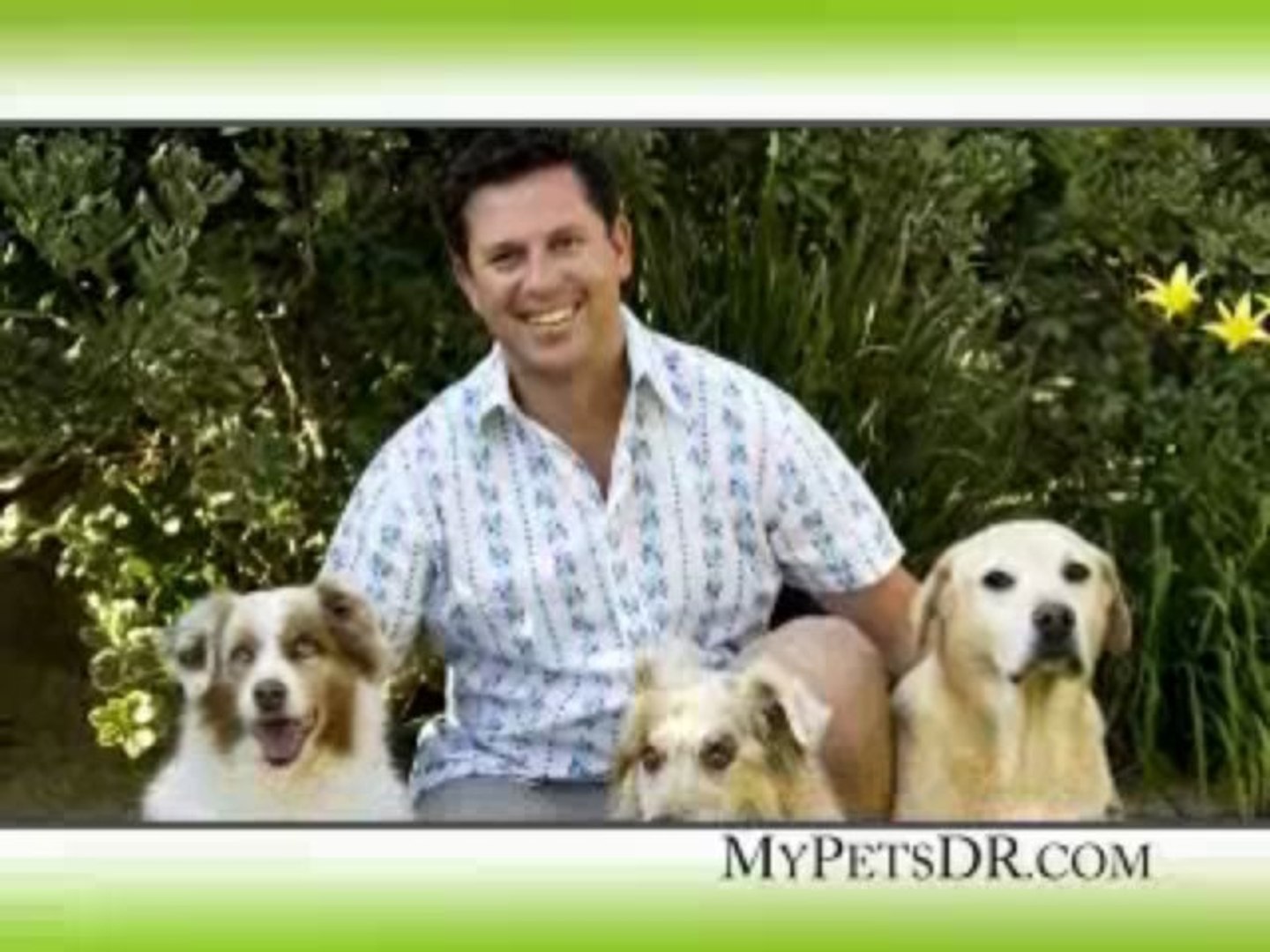 ⁣Veterinary marketing advertising