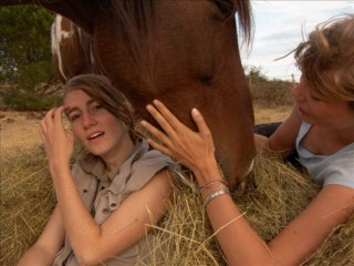 Montage montalba toussaint