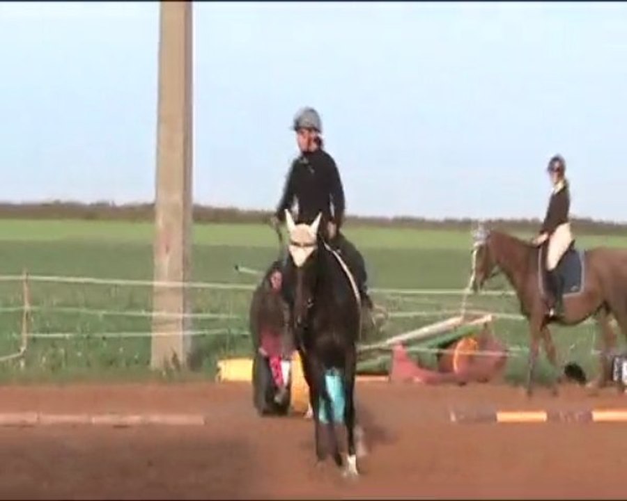reprise 2009