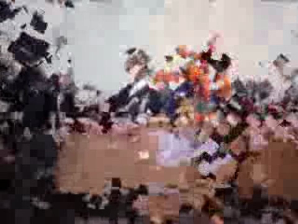 Bitlis Teknik ve Endüstri Meslek Lisesi Meclis Başkanlığı