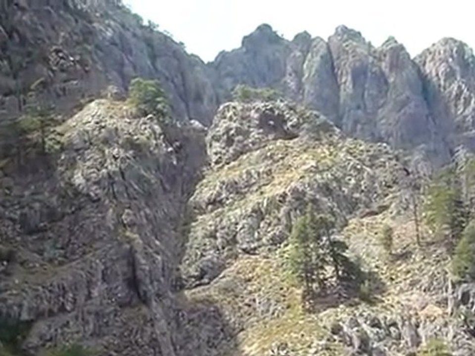 Vire de l'Andadonna ou Andatone (Filosorma - Corse)