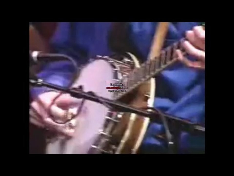 The Hillbilly Gypsies :"fire on the mountain" (Trad. améric)