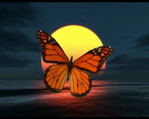 Music hé ta vue (clic HD meilleurs vision )