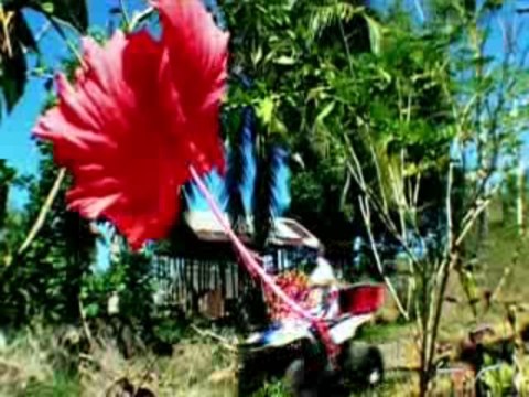 Amarina Hôtel **** Nosy Be MADAGASCAR