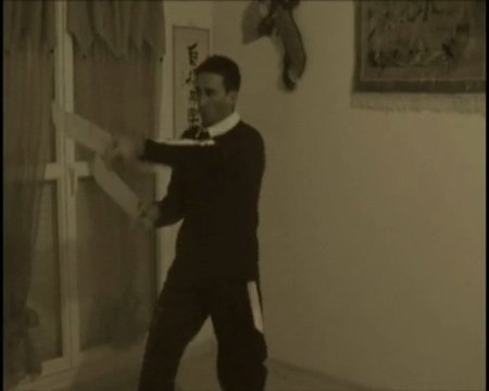 Wong Shun Leung Ving Tsun by BASE