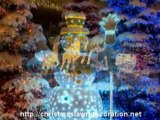 Best Outdoor Christmas Lawn Decorations