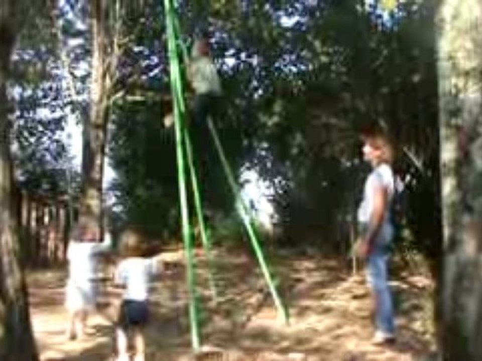 l'homme descend du singe...