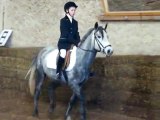 concours dressage ecurie d escazalou